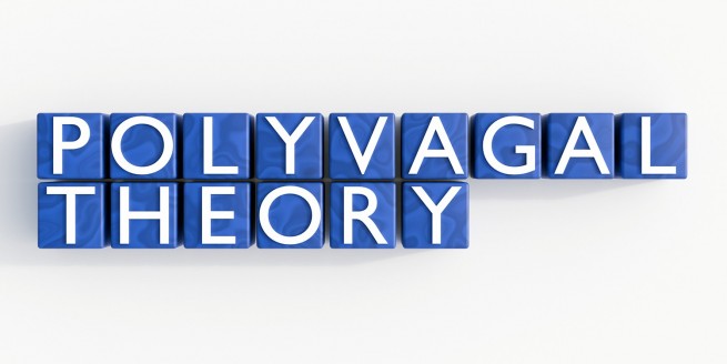 Shift the State, Change the Story: Applying Polyvagal Theory to Enhance Change image