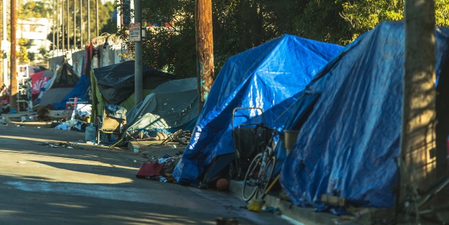 The High Cost of Being Poor: Health Effects and Outcomes of Poverty in North Carolina (Includes Poverty Simulation) image