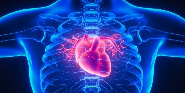 Atrium Health Sanger Heart & Vascular Institute Cardiovascular Symposium image